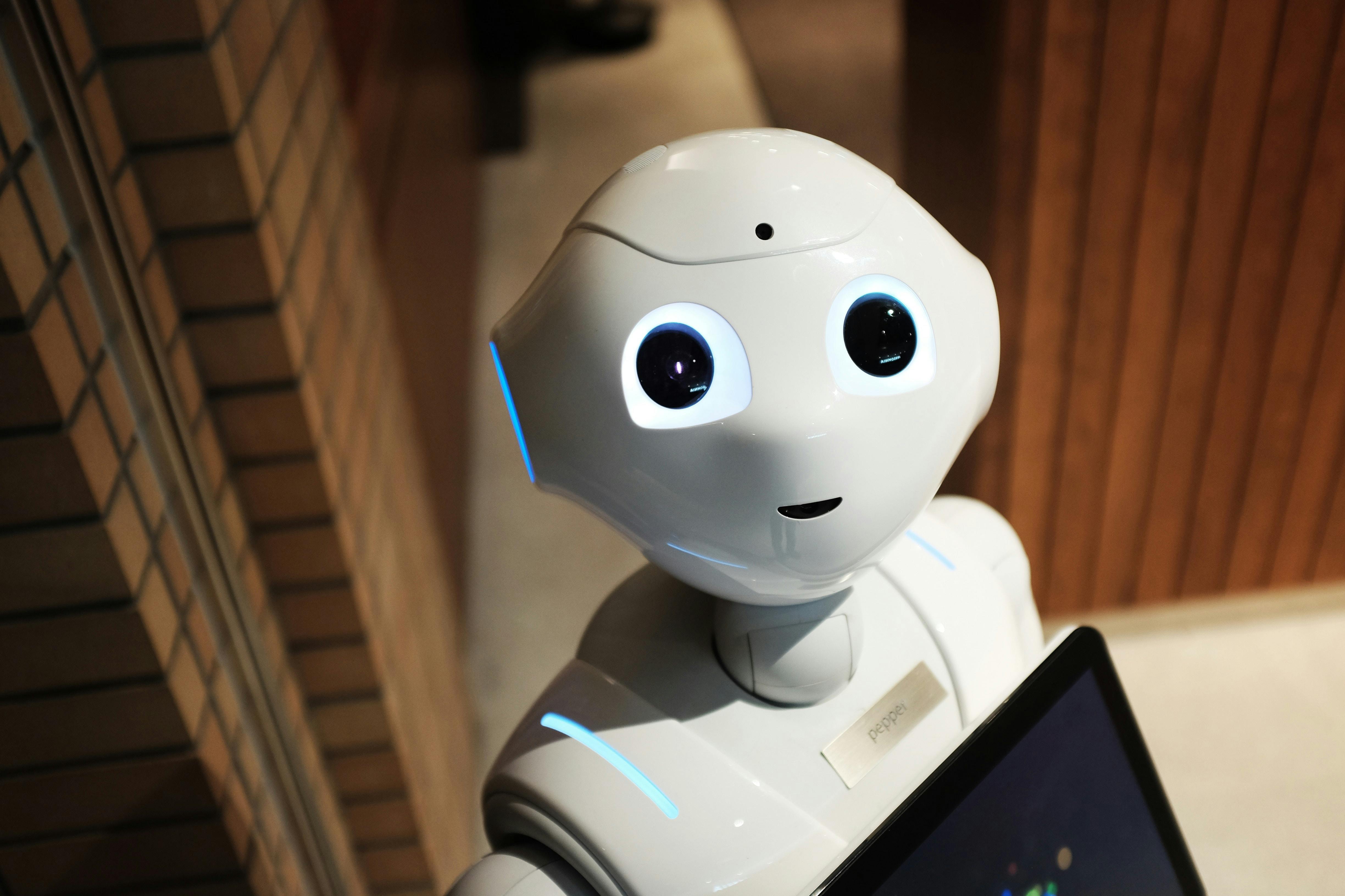 How to Add a Robots.txt File to Your Website